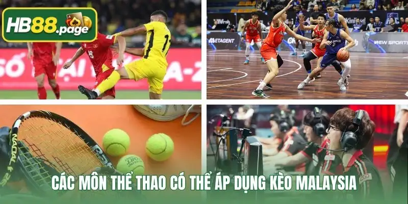 Các môn thể thao có thể áp dụng kèo Malaysia