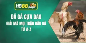 Đá Gà Cựa Dao HB88 - Giải Mã Mọi Trận Đấu Gà Từ A-Z