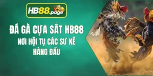 Đá Gà Cựa Sắt HB88 - Nơi Hội Tụ Các Sư Kê Hàng Đầu