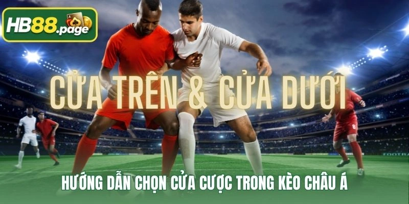Hướng dẫn chọn cửa cược trong kèo châu Á
