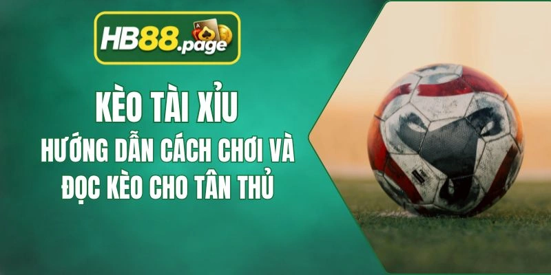 kèo tài xỉu