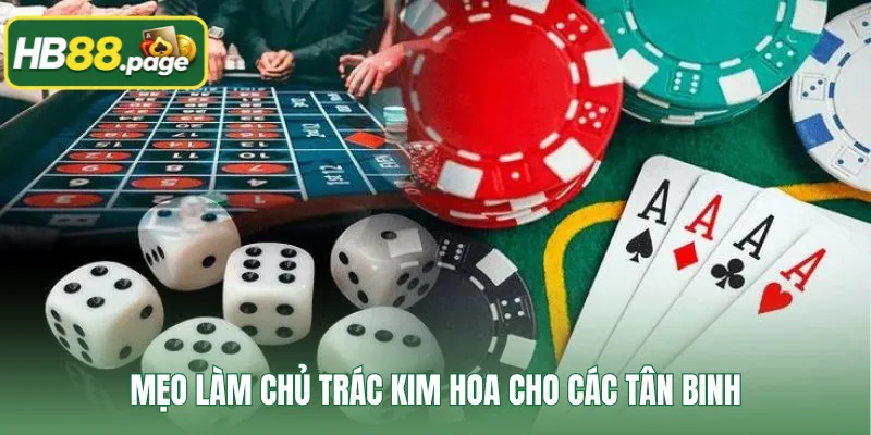 Mẹo làm chủ Trác Kim Hoa cho các tân binh