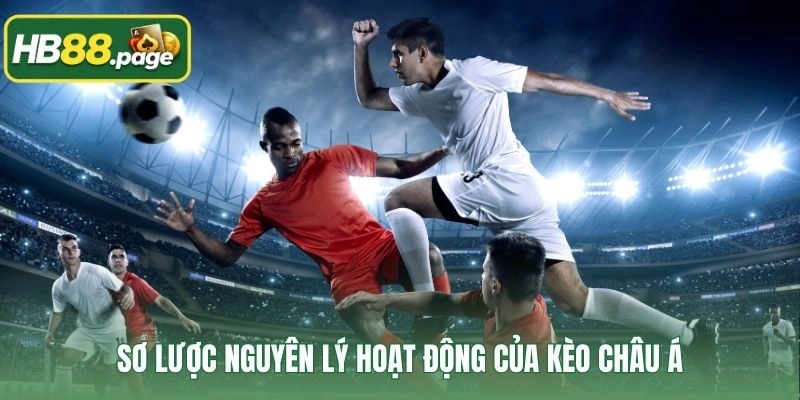 Sơ lược nguyên lý hoạt động của kèo châu Á