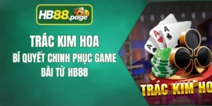 Trác Kim Hoa - Bí quyết Chinh Phục Game Bài Từ HB88